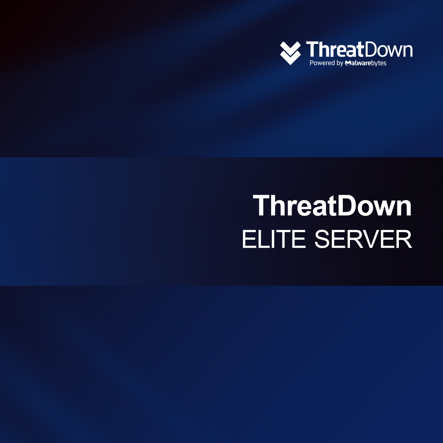 Servidor ELITE ThreatDown